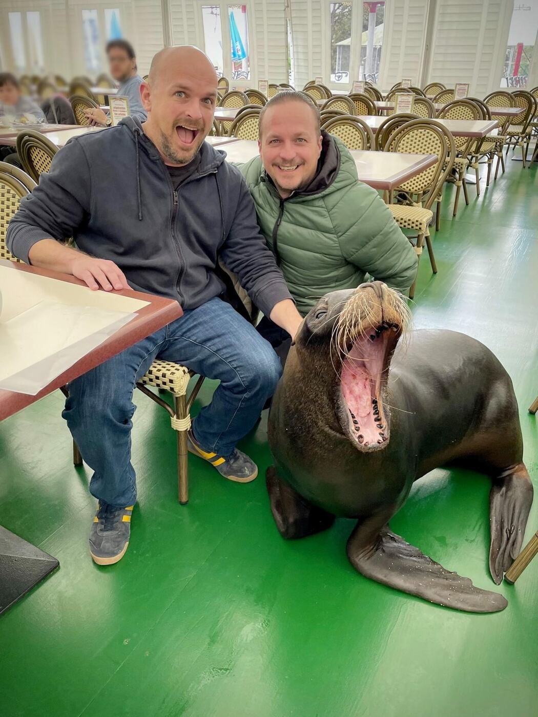 Michael und Samuel mit Seelöwe